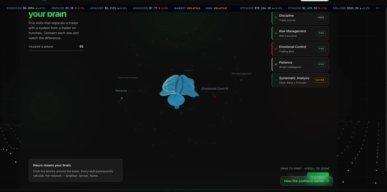 The interactive Brain scene on NeuroTrader: five trader skills wired into a network around a brain model